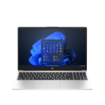 HP 255 G10 (AL0D3AT)